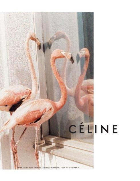 celine