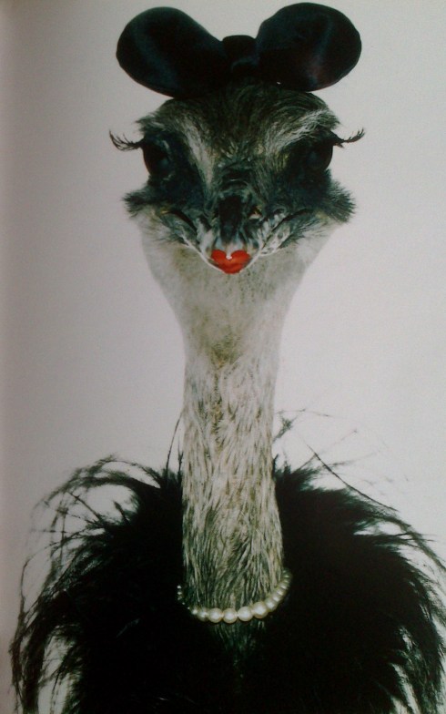 Guido Mocafico for Citizen K