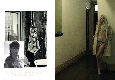 vi01105d0152-015311meisel-224007_0x440