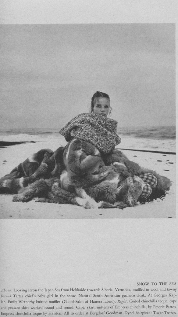 The Great Fur Caravan