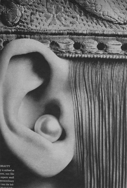 The Great Fur Caravan