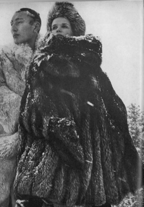 The Great Fur Caravan