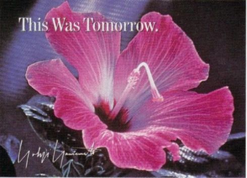 peter saville for Yohji Yamamoto