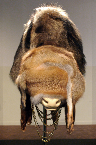 katherina exhibition