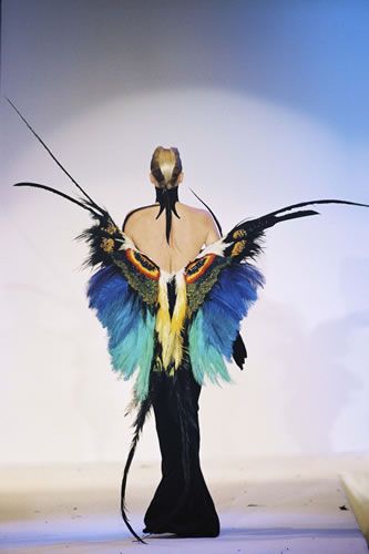 Butterfly Thierry Mugler